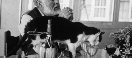 Секреты AltaLab или причем тут Хемингуэй