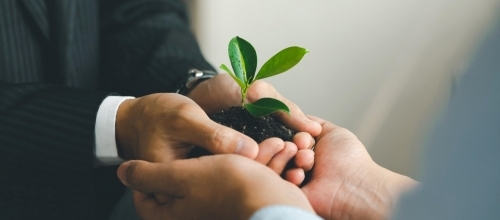 Конкурс на соискание экологических премий Правительства Москвы