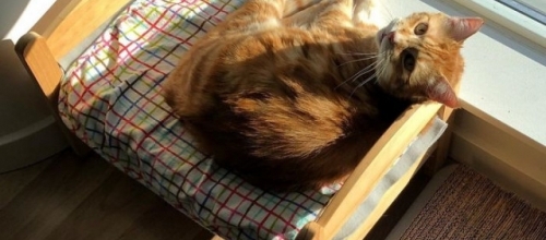 Баркитектура — новый тренд в дизайне и архитектуре