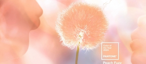 Цвет года по версии Pantone 13-1023 Peach Fuzz Цвет года по версии Pantone 13-1023 Peach Fuzz