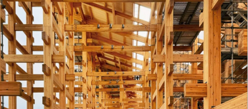 Появились первые фотографии со стройки Expo 2025