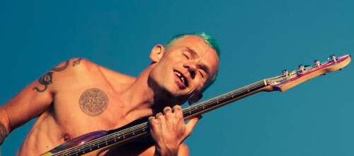 Рубрика — звездная недвижимость