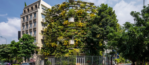 Зеленая ферма и фруктовые сады прямо на фасаде здания