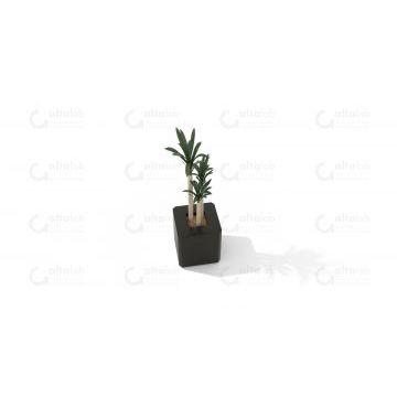 Гватемала 1.1