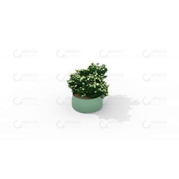 Кларксвилл 1.1